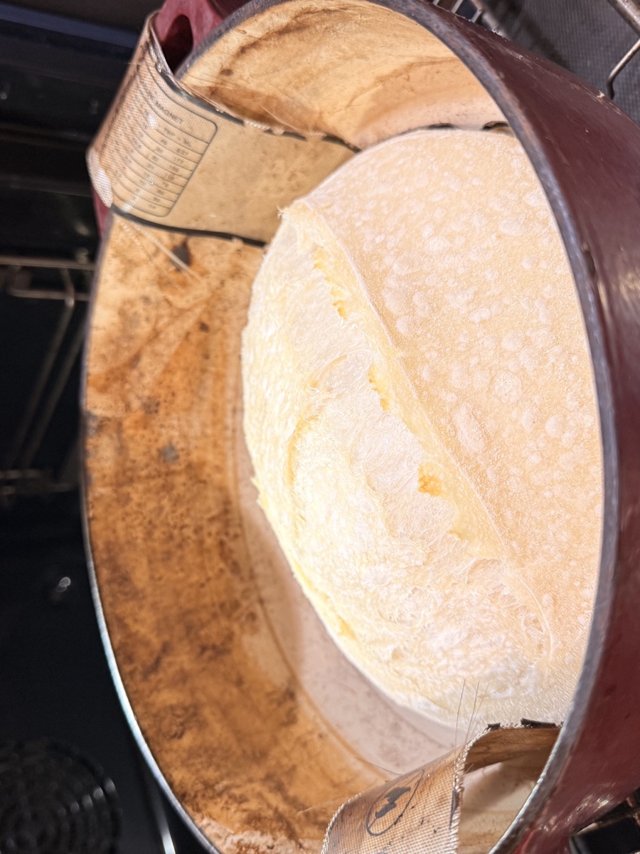 Sourdough bread after 25 minutes with lid on, showing pale risen loaf ready for final browning